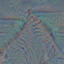 n02894605